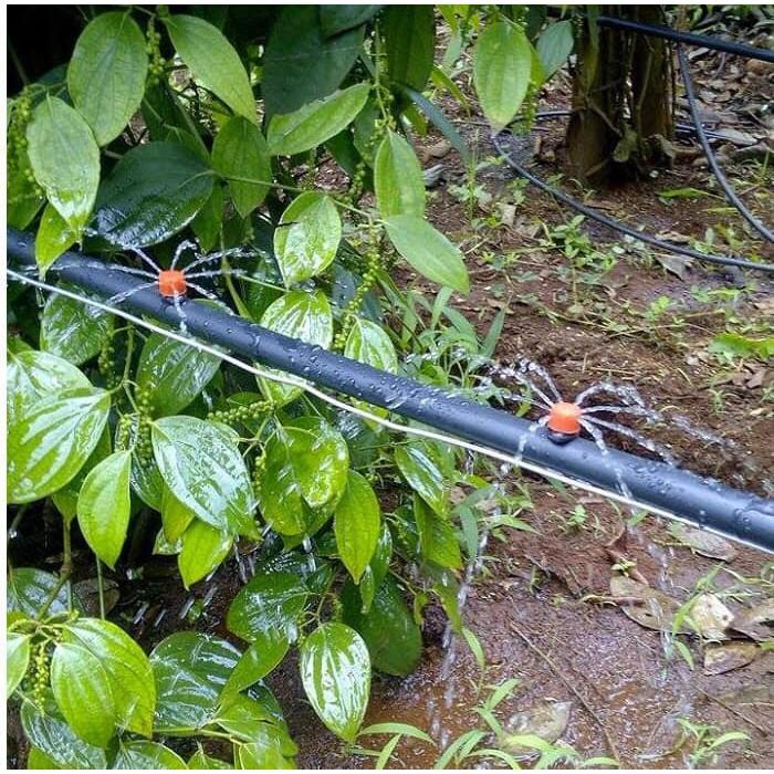 Béc nhỏ giọt 8 tia giá rẻ nhất