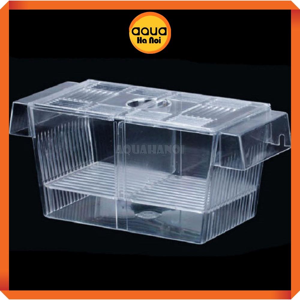 Lồng dưỡng cá tép đẻ mica - cỡ lớn 22*10*10 cm - lồng tách cá tép sinh sản - dưỡng cá bệnh - có 2 ngăn cách ly