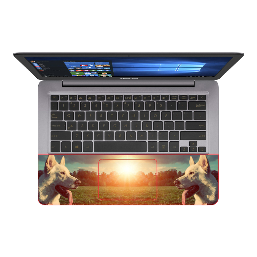 Mẫu Skin Dán Trang Trí Decal Laptop Animal DCLTDV 006