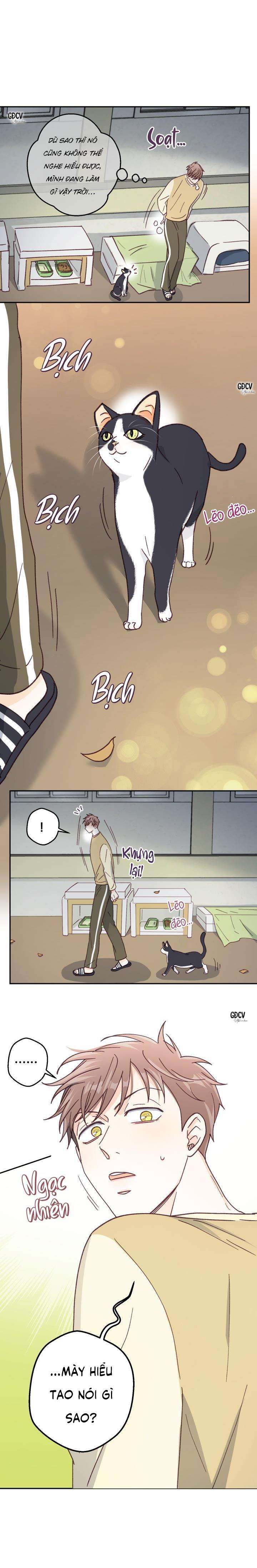 bạn trai vô song của tôi chapter 13 17