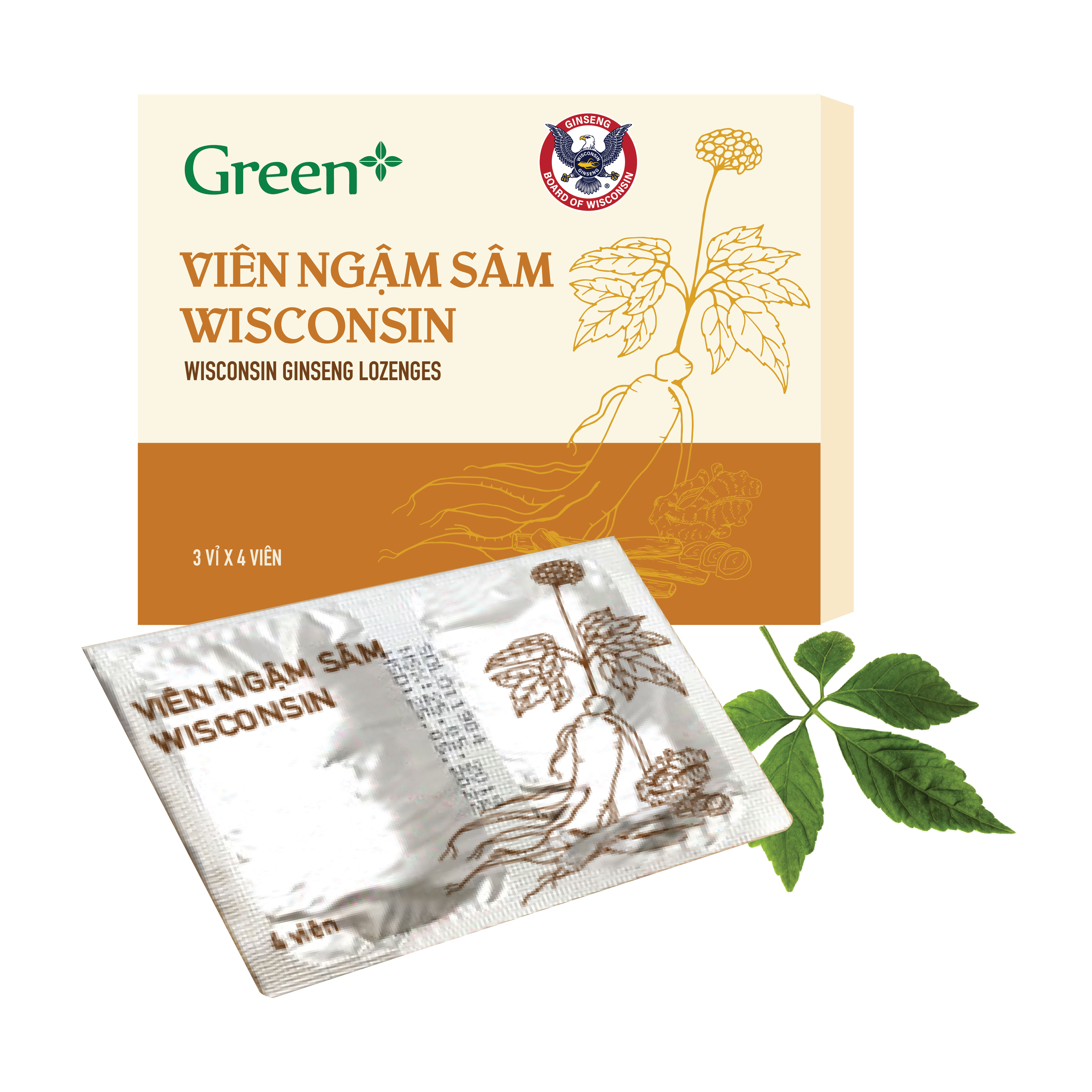 Viên ngậm Sâm Wisconsin (hộp 12 viên) 