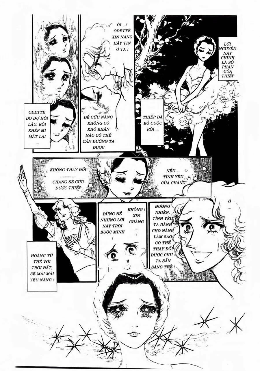 swan - vũ khúc thiên nga chapter 45 14