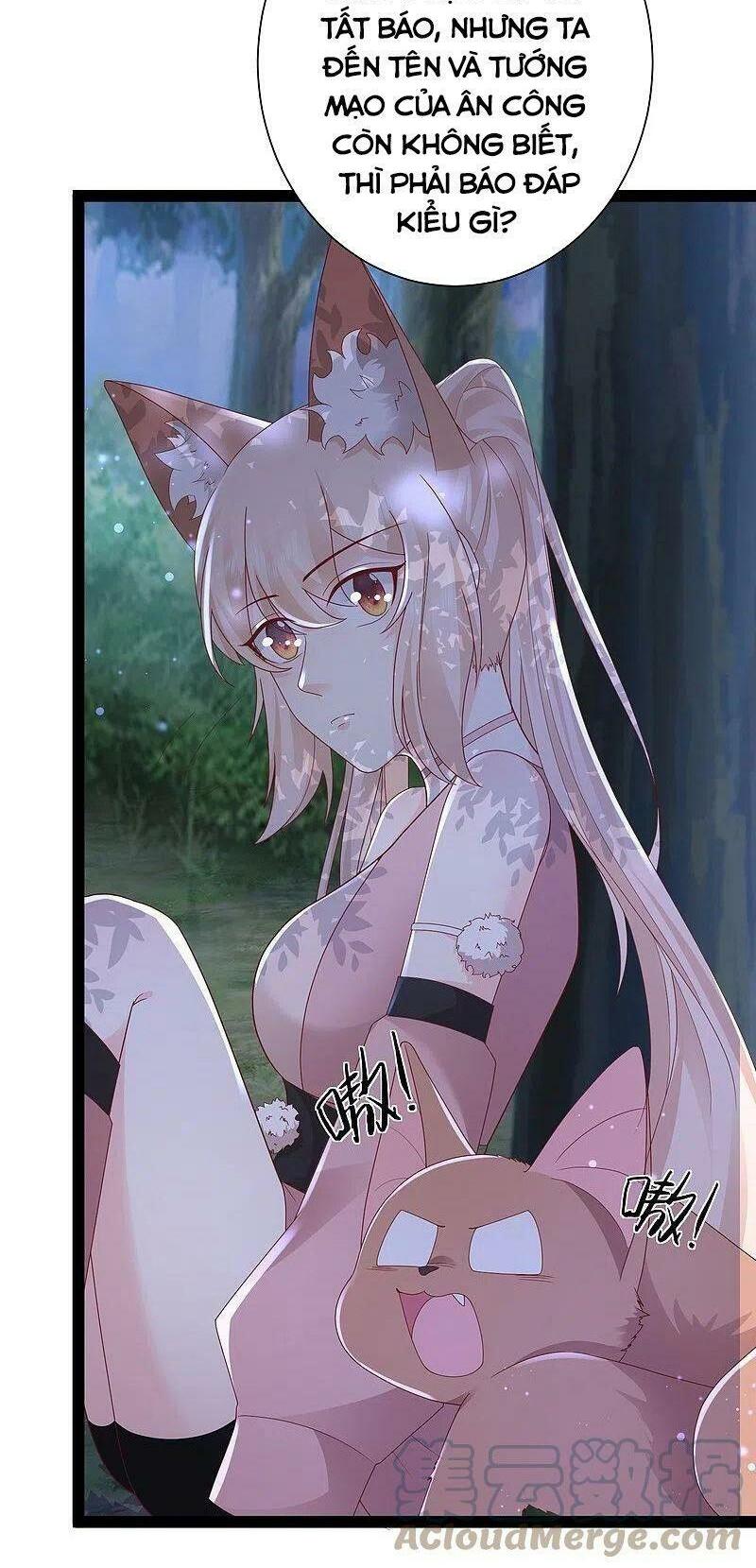 tối cường vận đào hoa chapter 272 12