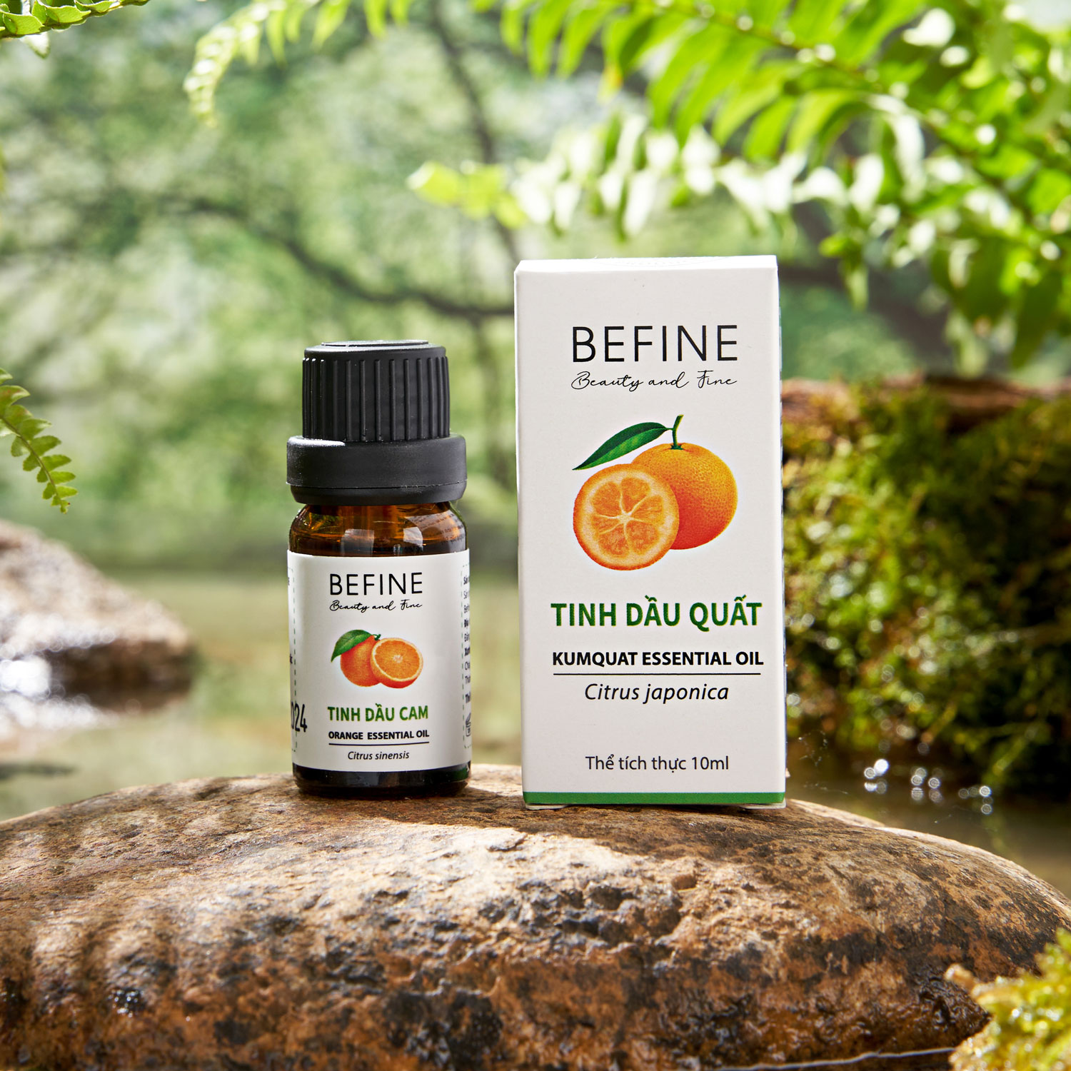 Tinh dầu vỏ quất (trái tắc) Befine nguyên chất hương thanh mát