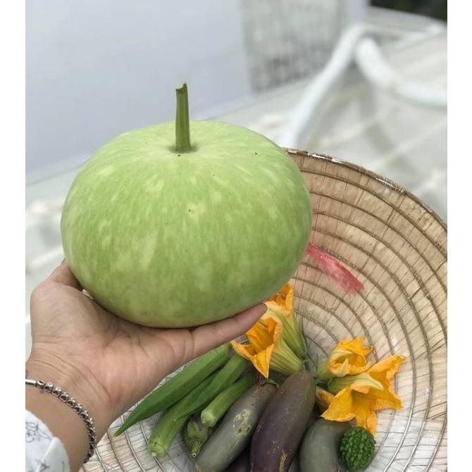 Hạt giống bầu quả tròn Thái lan-gói 10 hạt/tặng kèm gói phân bón lót