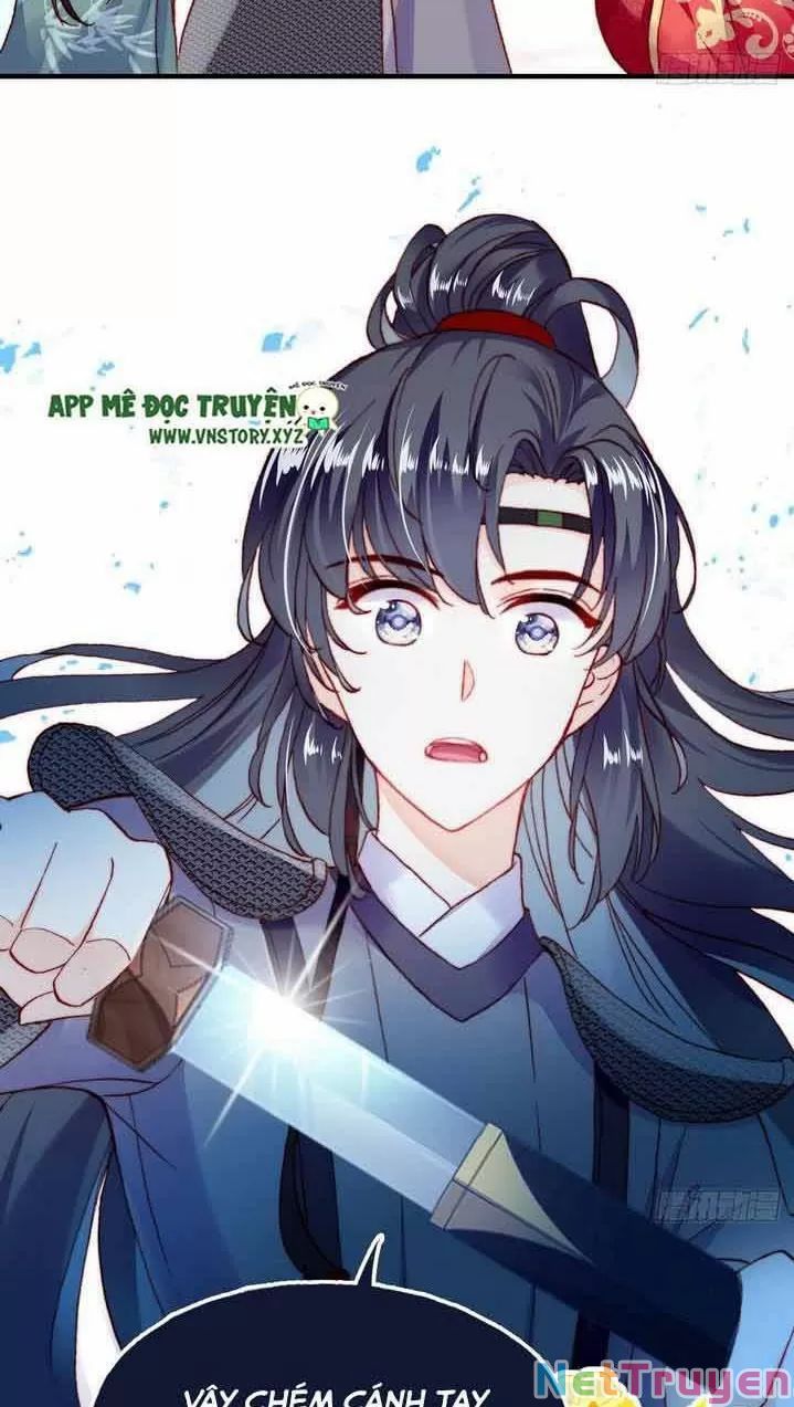 lại bị bệnh chiều chuộng quấn lấy chapter 6 8