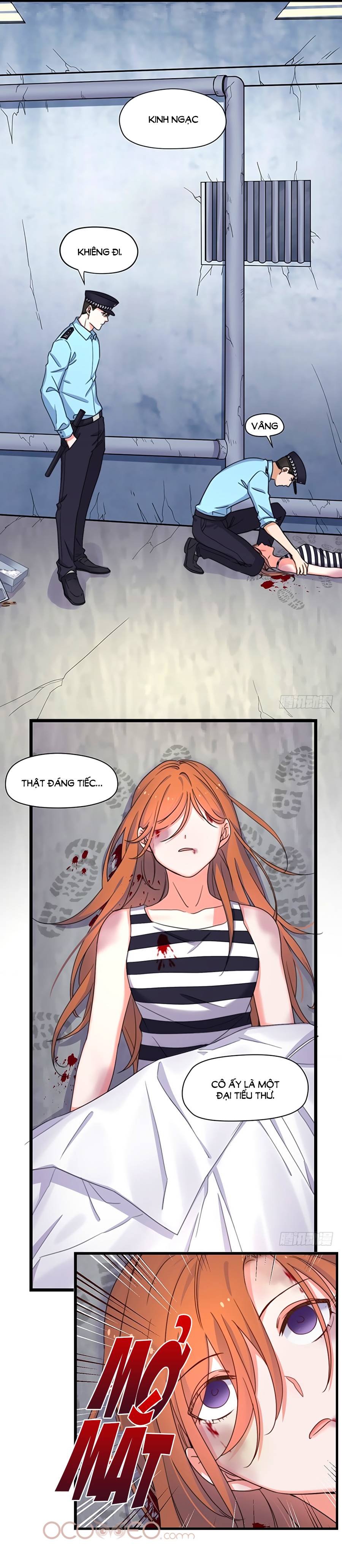 nhật ký báo thù của thiên kim hai mặt chapter 0.2 13