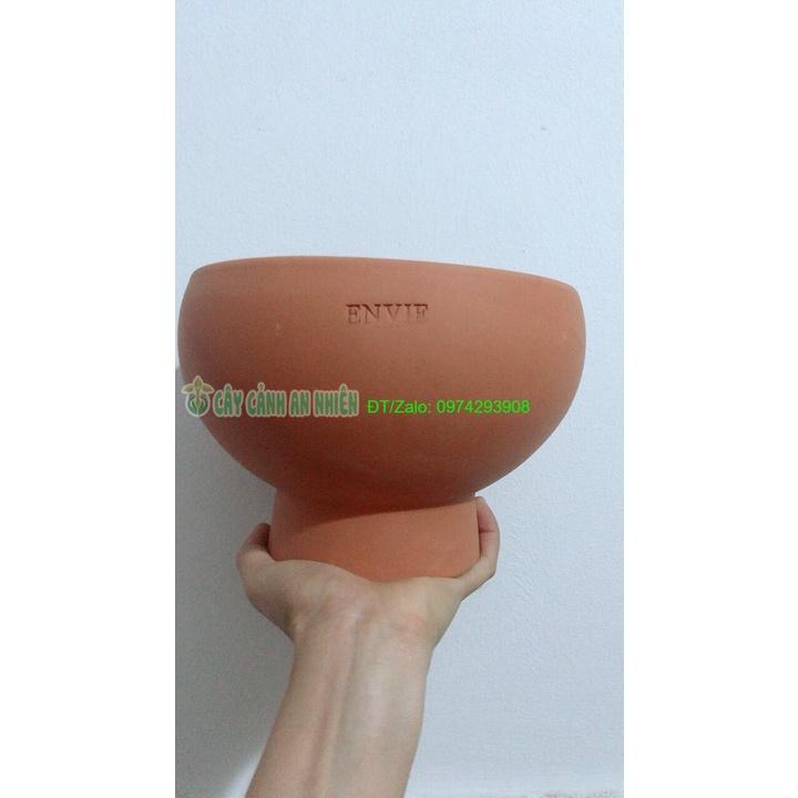 Chậu Đất Nung Trồng Cây