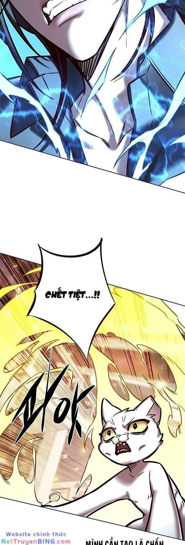 biến thân thành mèo chapter 278 41