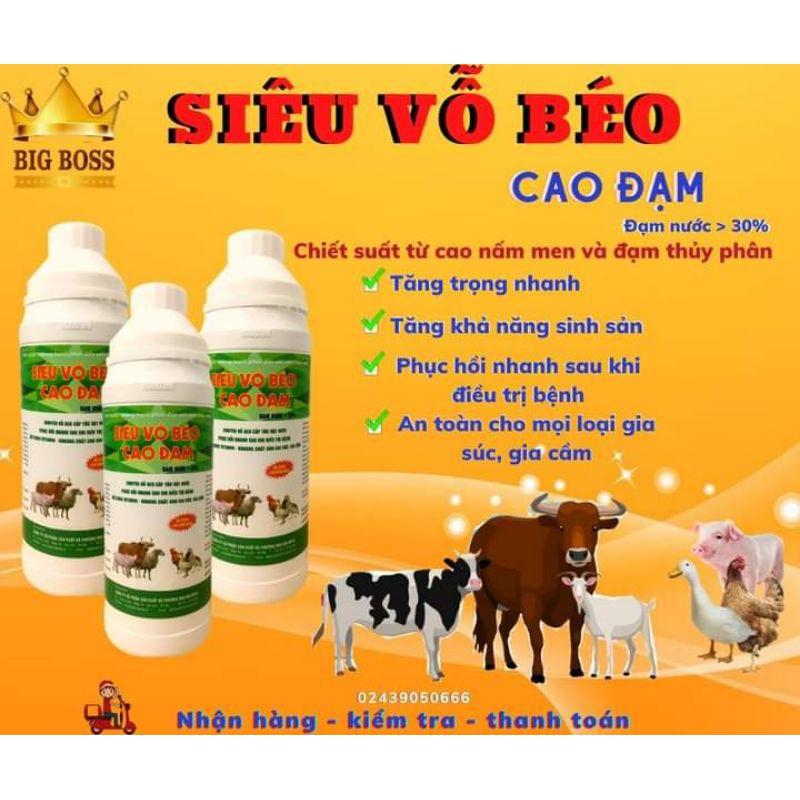 SIÊU VỖ BÉO CAO ĐẠM