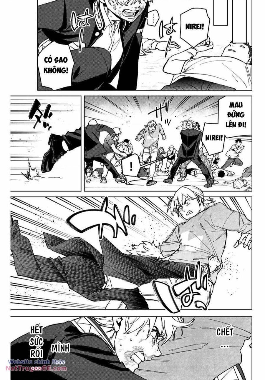 wind breaker chapter 111 16