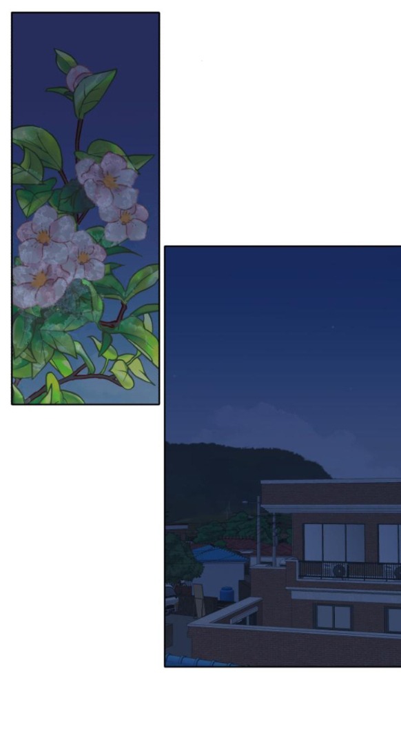 bóng râm mùa xuân chapter 2.1 46