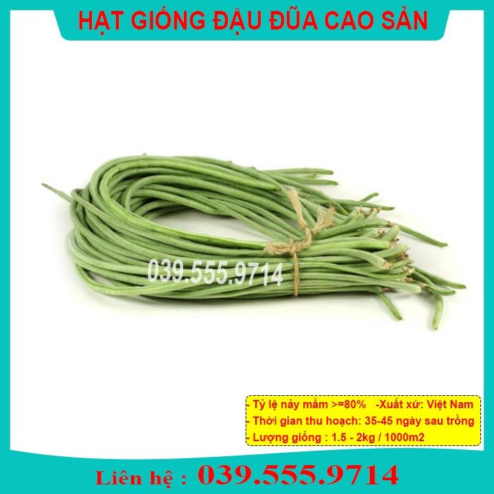 Hạt giống Đậu ( Đỗ ) Đũa Cao Sản Quả Dài 100gram