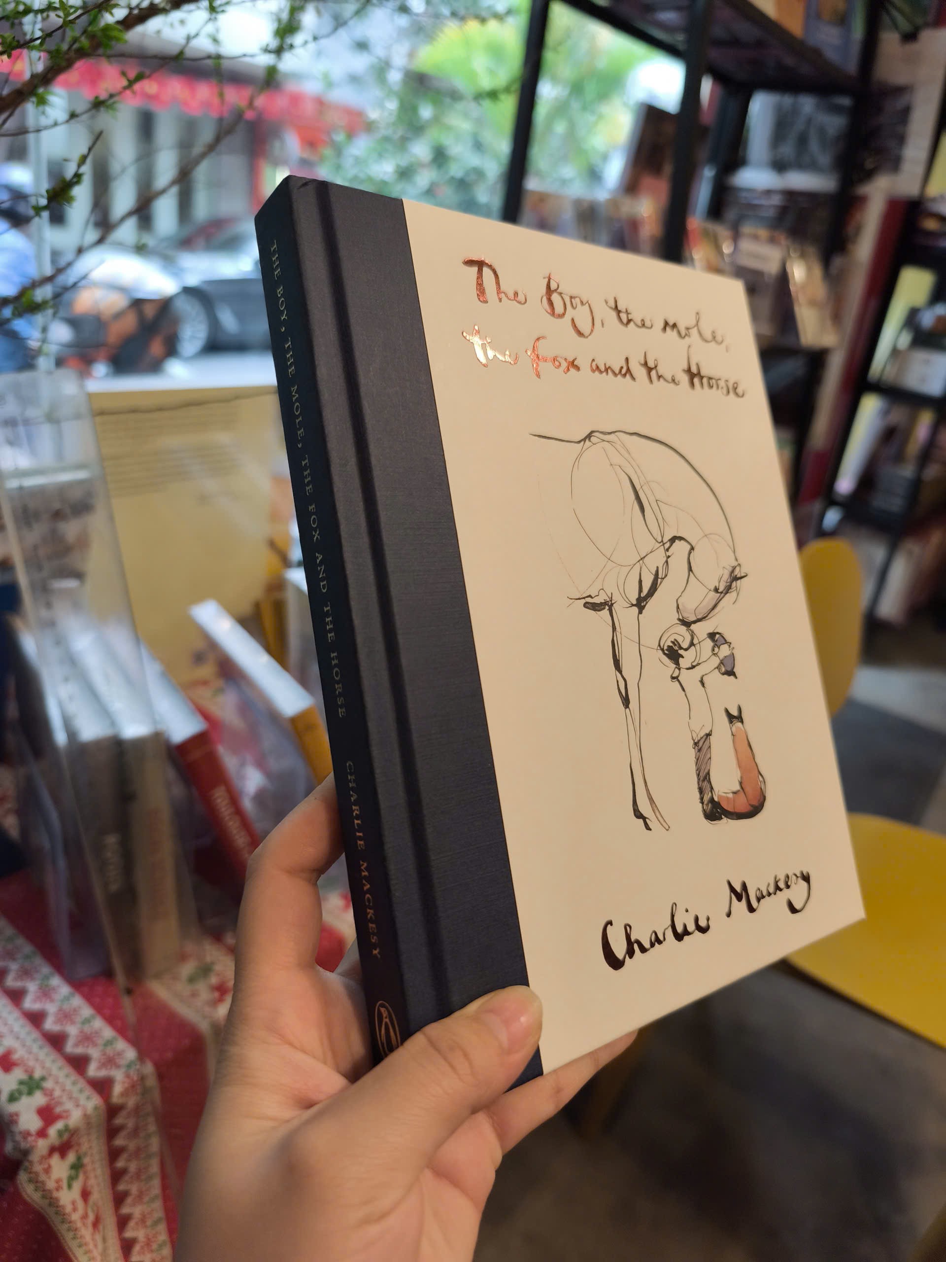 Sách - The Boy, The Mole, The Fox and The Horse by Charlie Mackesy - Fiction Graphic/Novels/Poetry