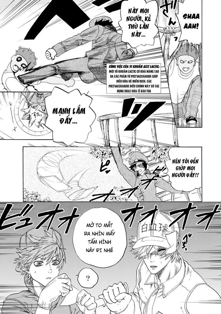 hataraku saibou! chapter 22 15
