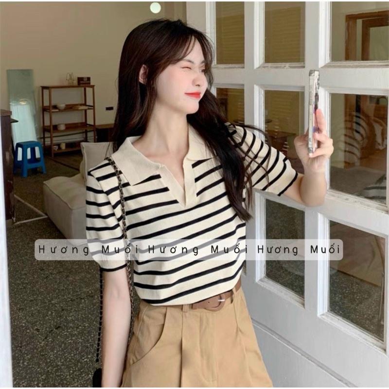 Áo len mongtoghi kẻ sọc ngang cổ bẻ