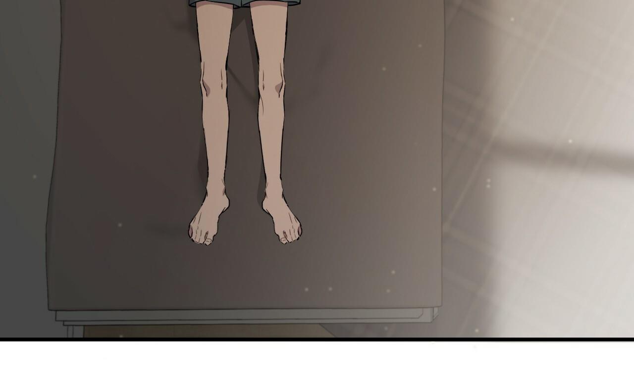 những chú thỏ của hapypy chapter 56 7