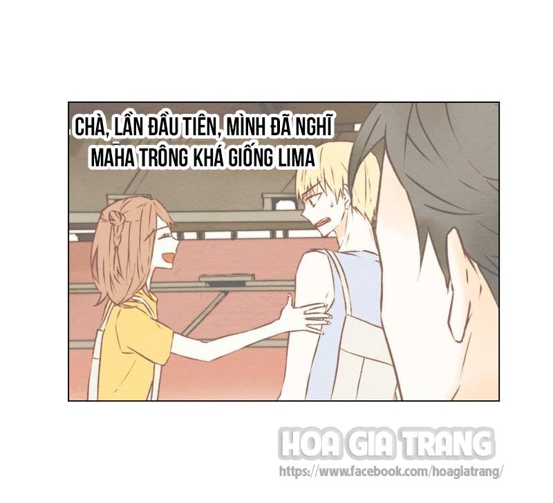 sao chép chapter 23 35