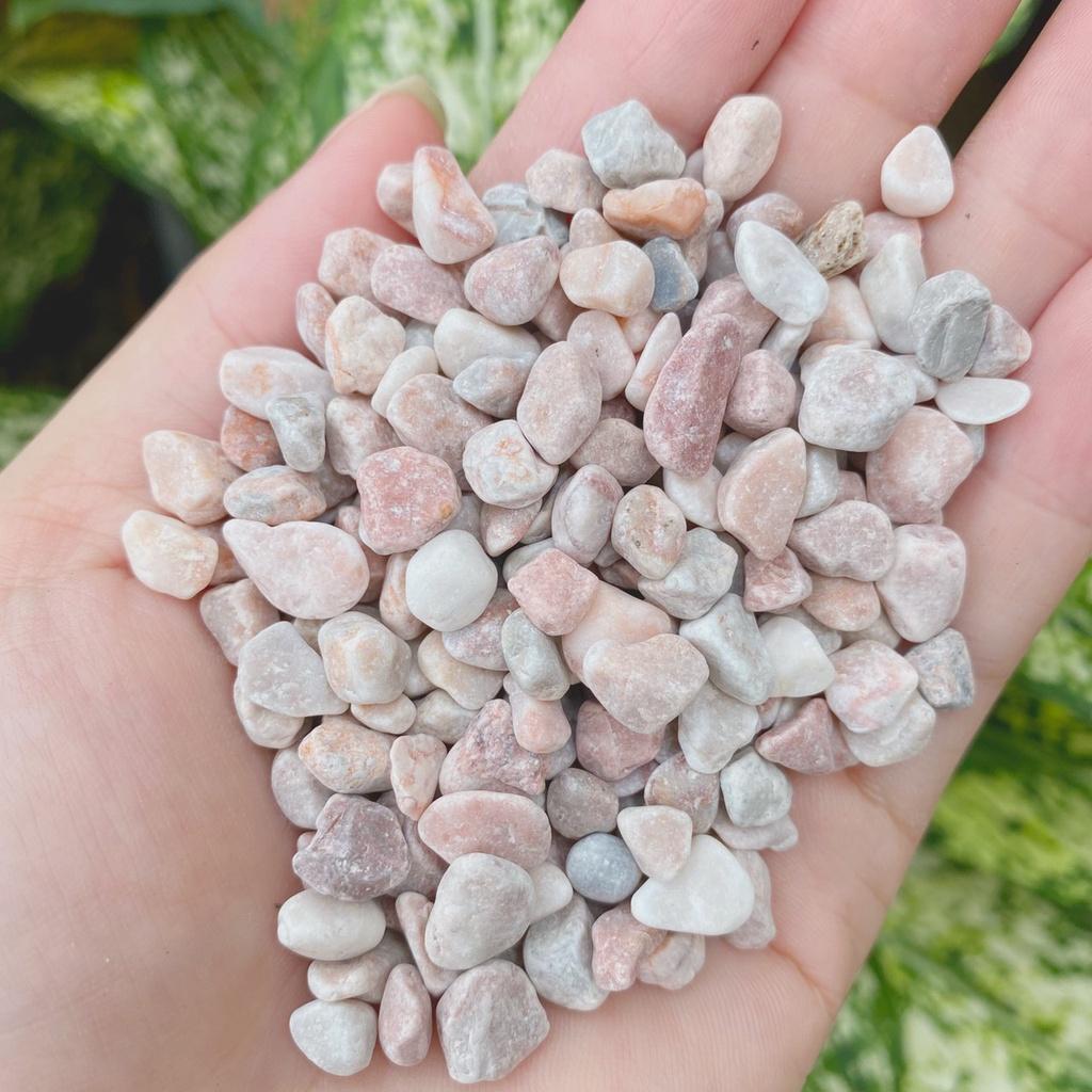 Sỏi màu rải chậu cây để bàn bịch chiết 1kg