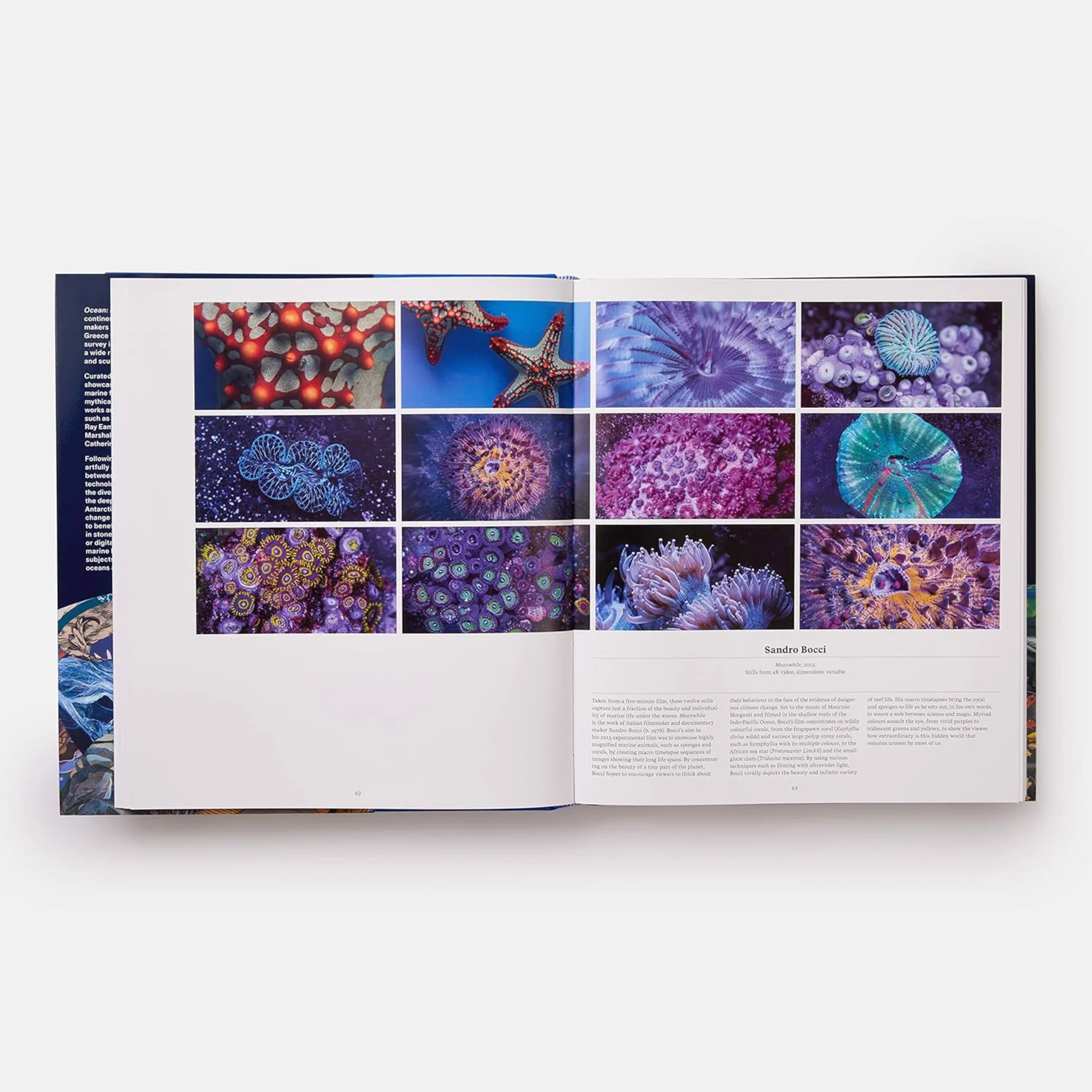 Artbook - Sách Tiếng Anh -  Ocean: Exploring the Marine World