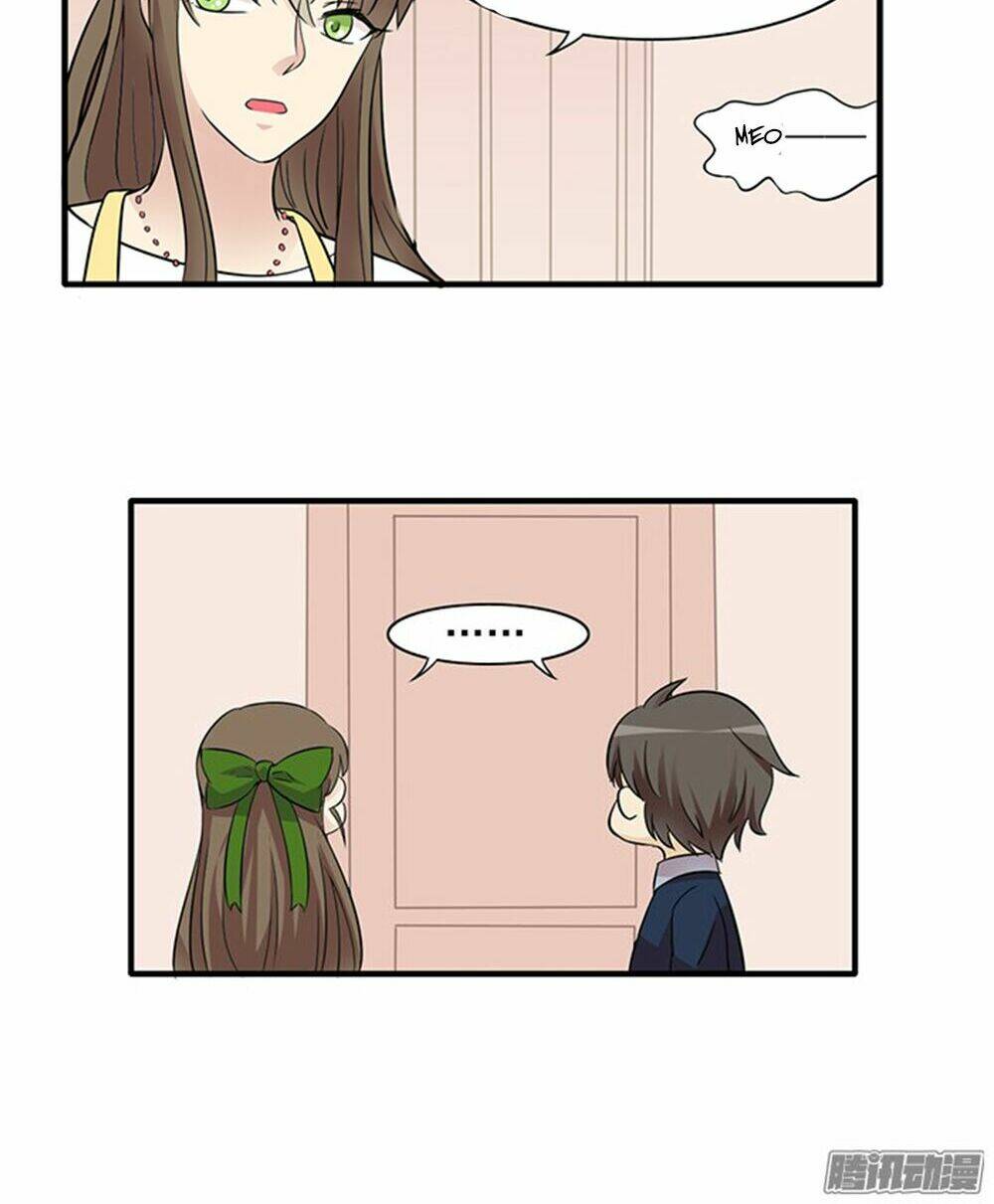 hai chú mèo totem chapter 12 17