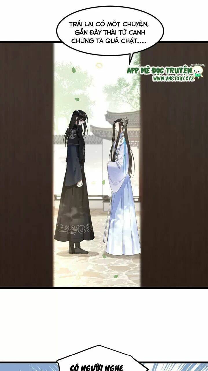 phượng hoàng vu phi chapter 50 8