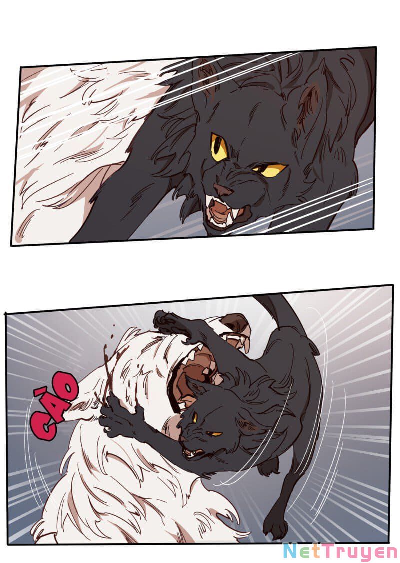 lumine - cội nguồn ánh sáng chapter 77 33