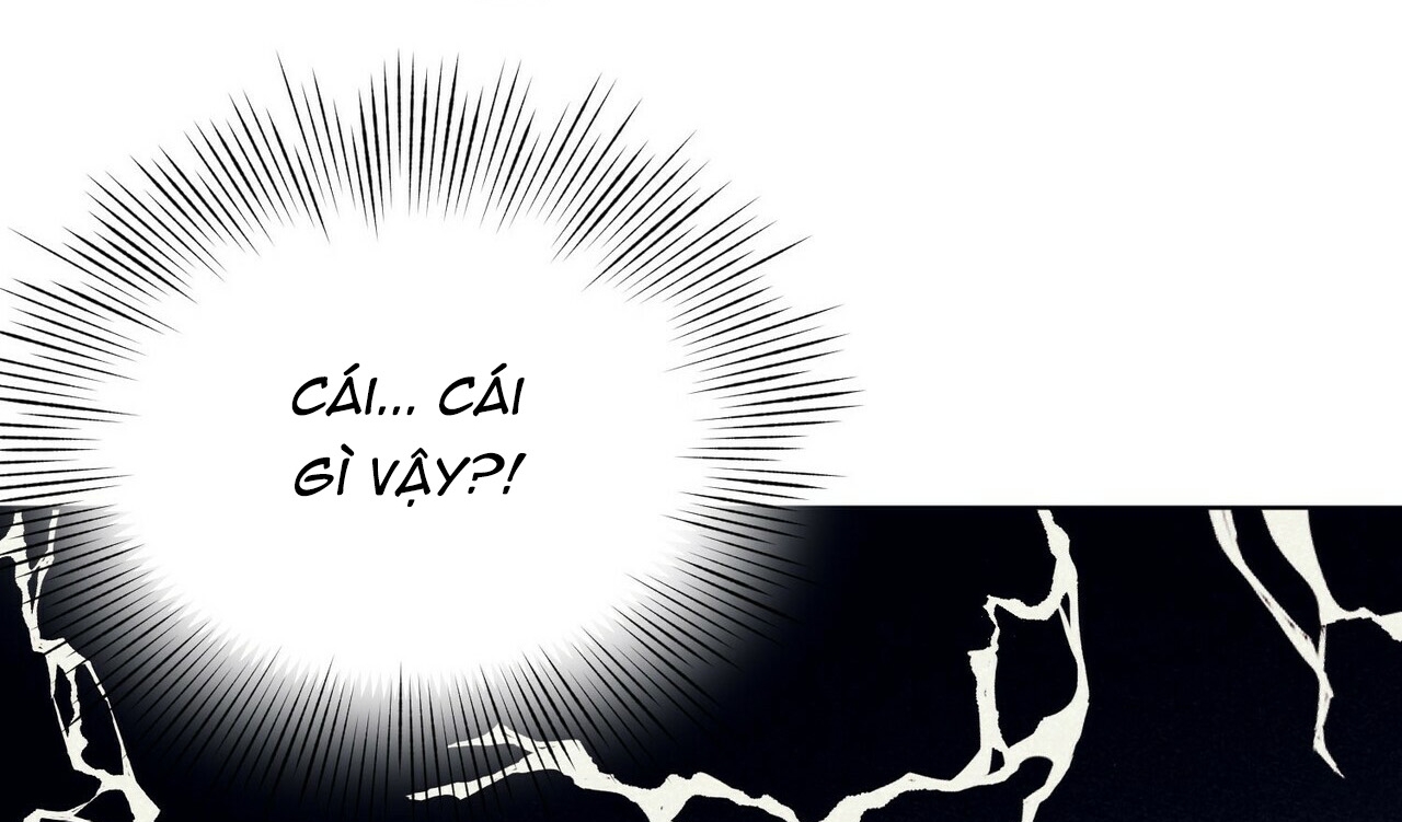 chàng dâu nhà họ kang chapter 5 166