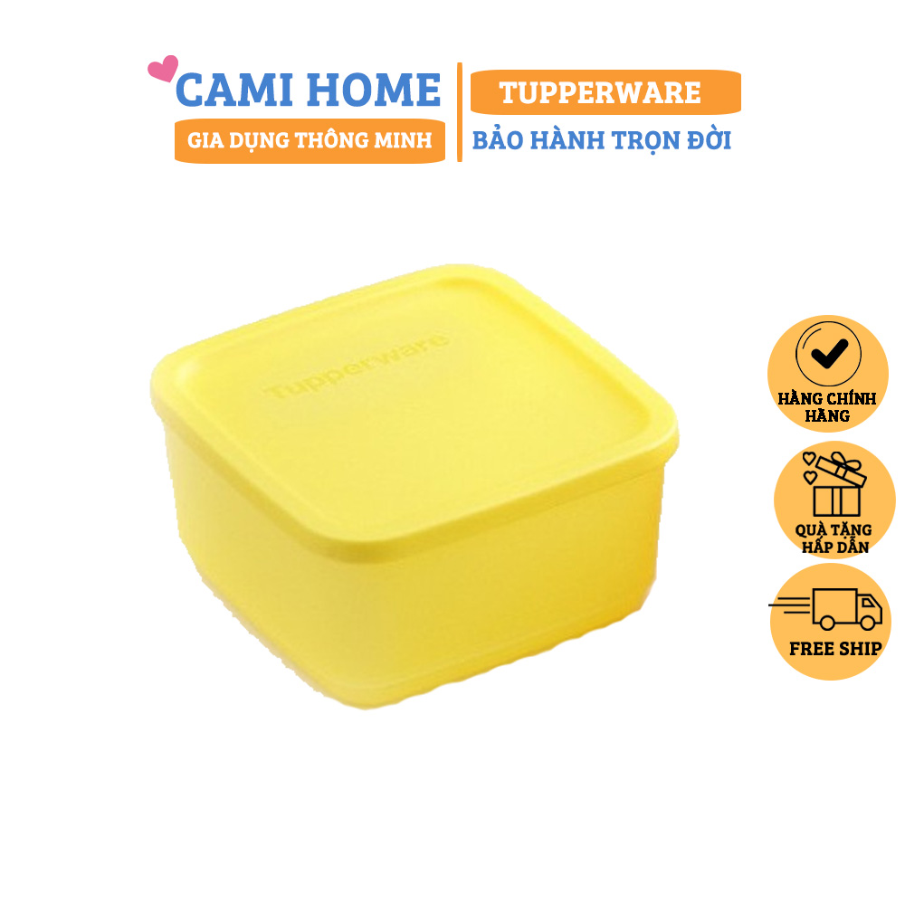 Bộ Hộp Bảo Quản Thực Phẩm Medium Summer Fresh Tupperware, Hộp Trữ Khô, Nhựa Nguyên Sinh An Toàn