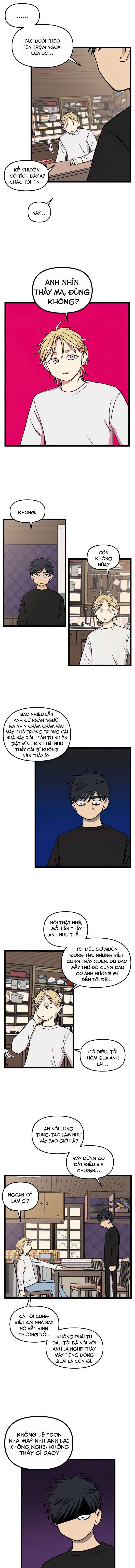 no home - không nhà chapter 100 10