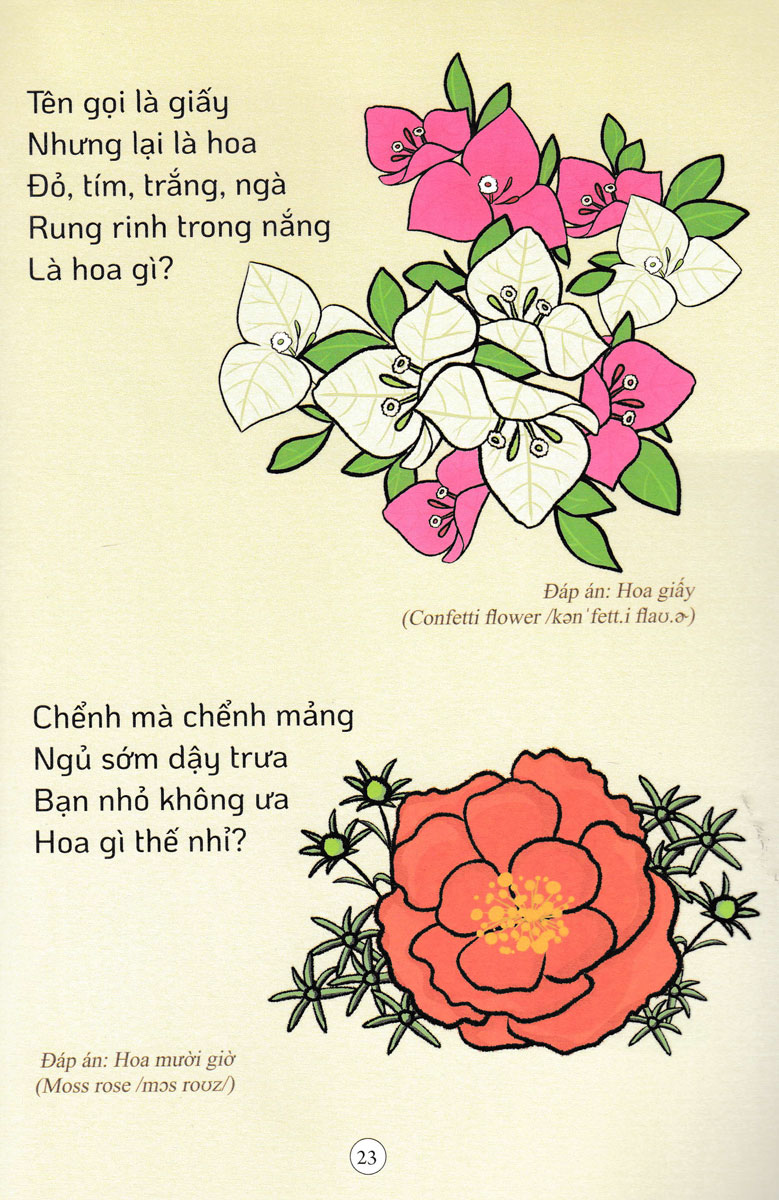 Câu Đố Dân Gian: Động Vật Và Thực Vật _PNU