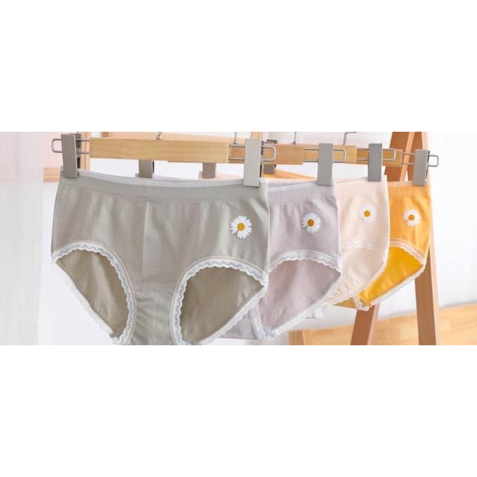 Hộp 4 quần lót cotton hoa cúc cho nữ có hộp đựng sang trọng, chất liệu mềm mại, co giãn 4 chiều, thấm hút mồ hôi tốt, freesize từ 45-70kg