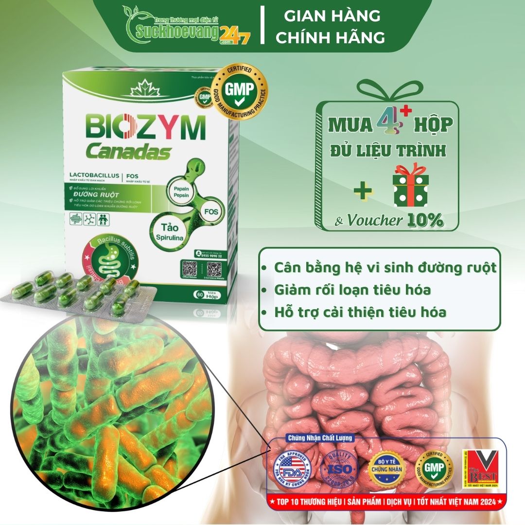 Viên uống BIOZYM Canadas hỗ trợ cải thiện tiêu hóa, giảm các triệu chứng rối loạn tiêu hóa do loạn khuẩn đường ruột - Hộp 60 viên