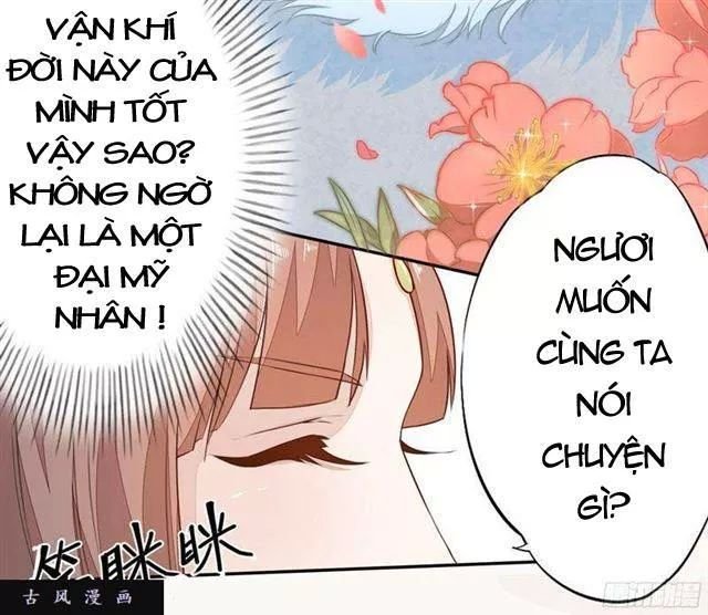 tuyệt thế luyện đan sư chapter 24 28