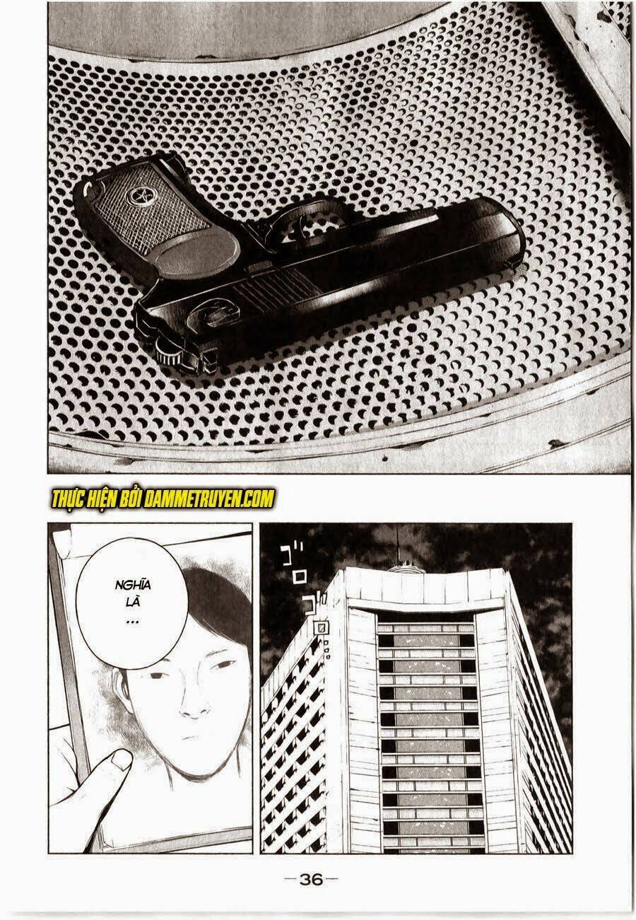 museum chapter 11 12