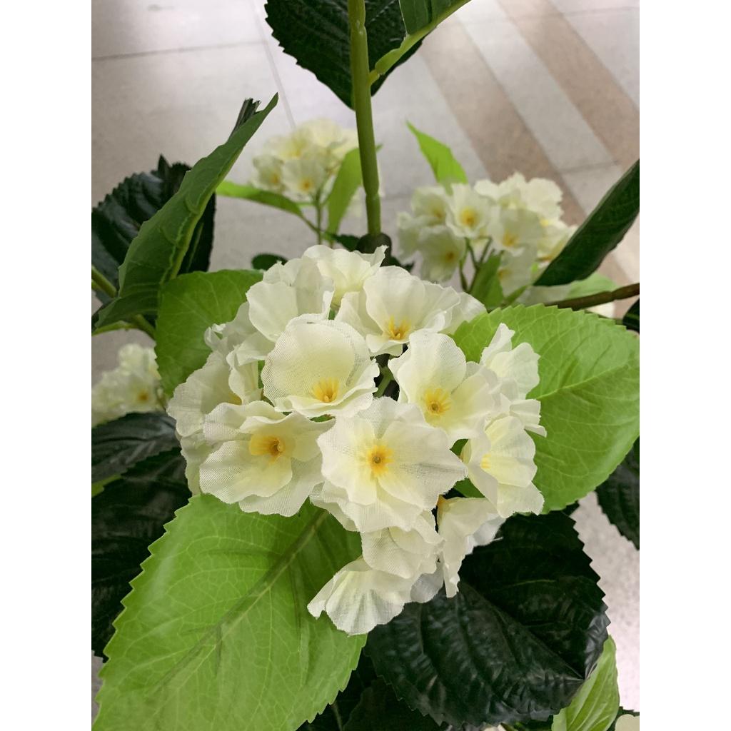 Cây giả - Cây hoa cẩm tú cầu trắng trang trí nhà, cửa hàng cao 1,3m - LC3008