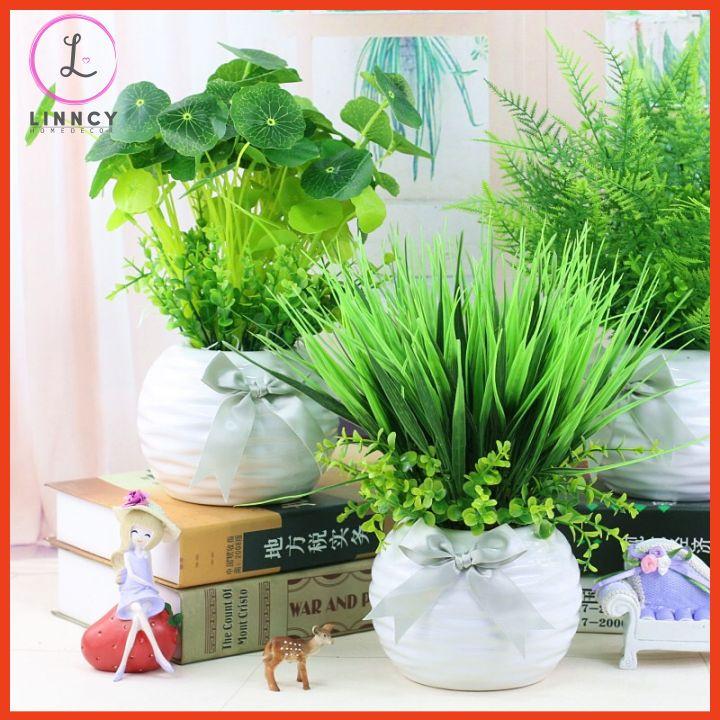 Chậu cây mạ non, rau má nhân tạo trang trí bàn, kệ tủ