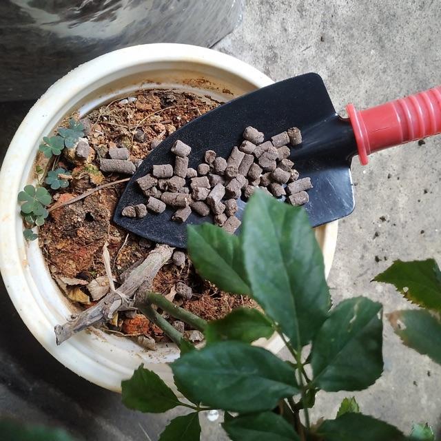 Phân Gà Nhật Hữu Cơ Sử dụng Cho Rau Màu Cây Ăn Trái Cây Kiểng Không Gây Mùi Gói 1kg
