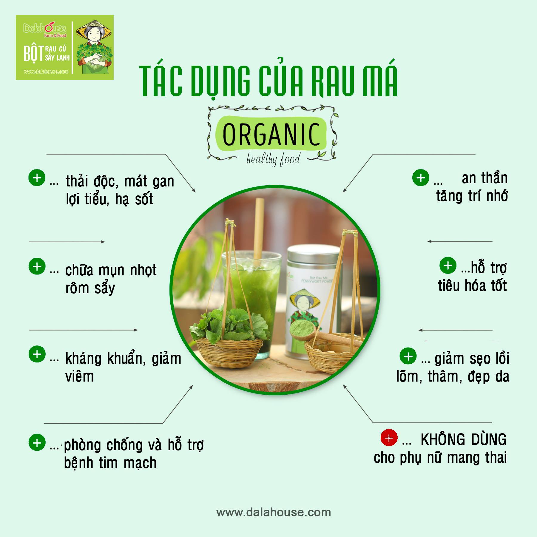 Bột Rau Má Dalahouse - – 1 Gói Tiện Lợi Cho 1 Lần Uống – Giúp Giảm Huyết Áp, Giải Độc Mát Gan Hiệu Quả
