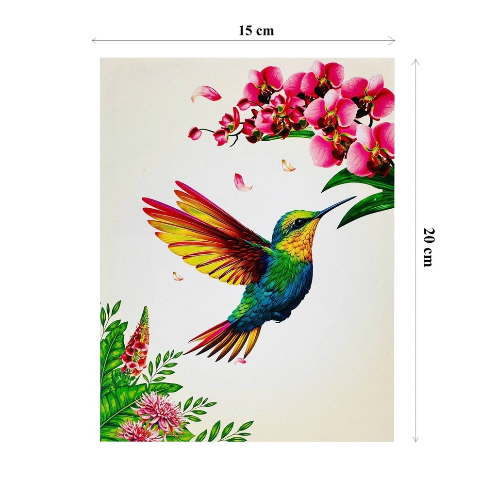 F62 -  Thiệp 3D Chim Ruồi &amp; Hoa Lan Hồng – Pop Up Card Viethands Giftshop