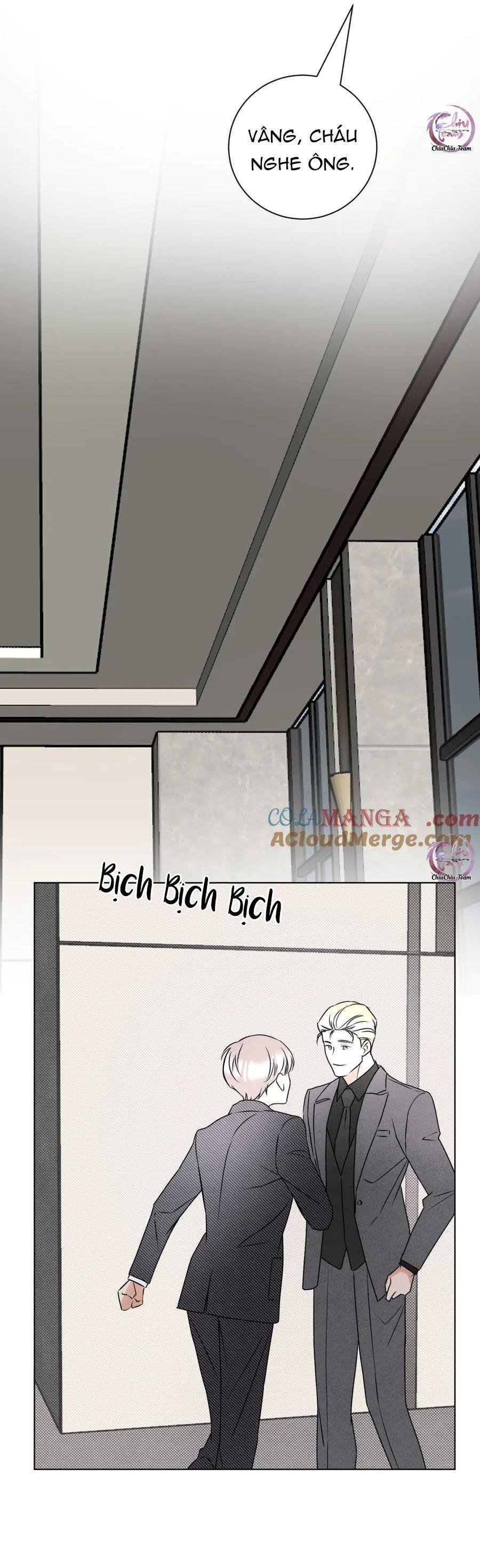 anh trai rẻ tiền của tôi chapter 61 11