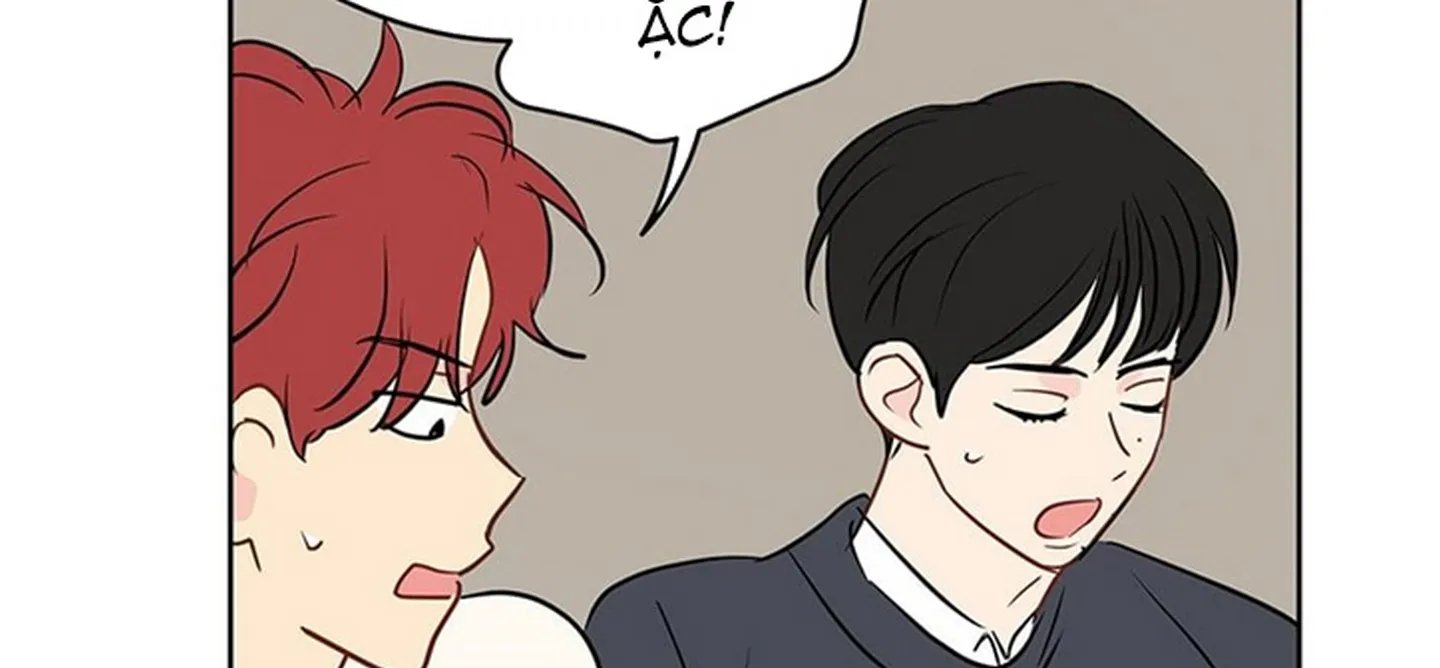 chuyện quái gì với giấc mơ đó vậy chapter 19 33