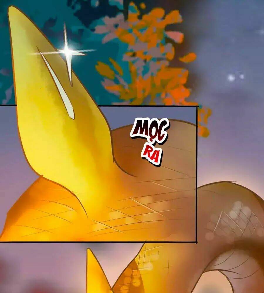 thần y khí nữ: ngự thú cuồng phi của quỷ đế chapter 69 71