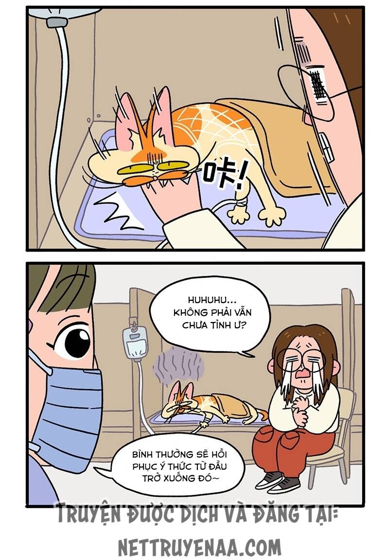 a mãn và mạch trà chapter 17 4