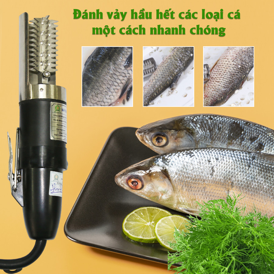Máy đánh vảy cá 3A96W