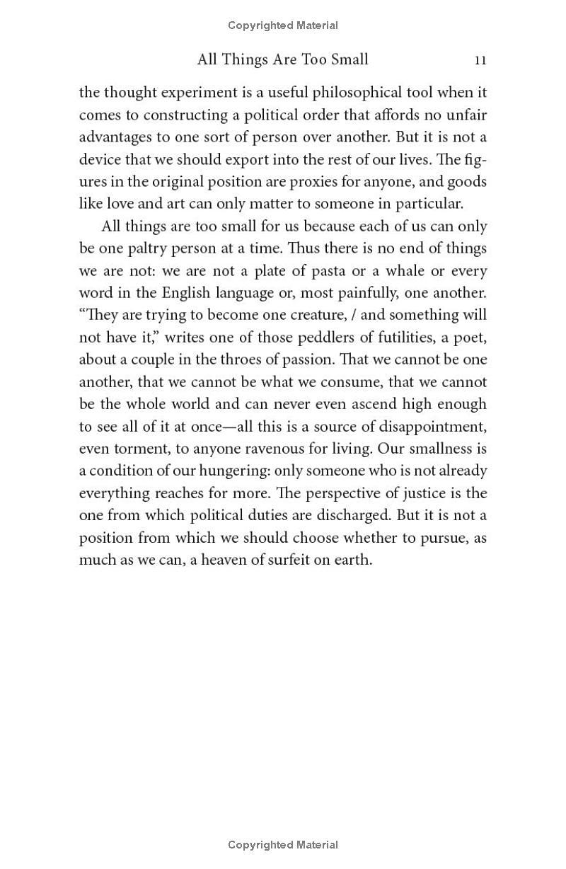 Sách ngoại văn: All Things Are Too Small - Essays In Praise Of Excess