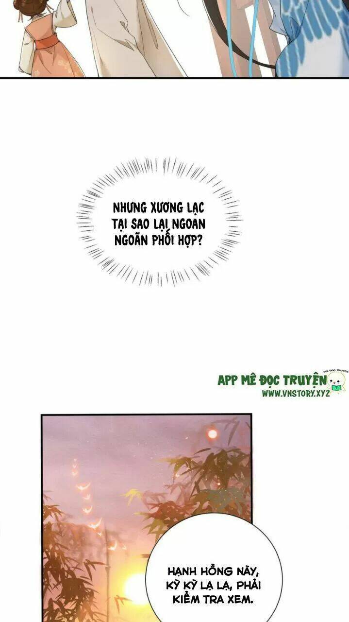 phượng hoàng vu phi chapter 71 14