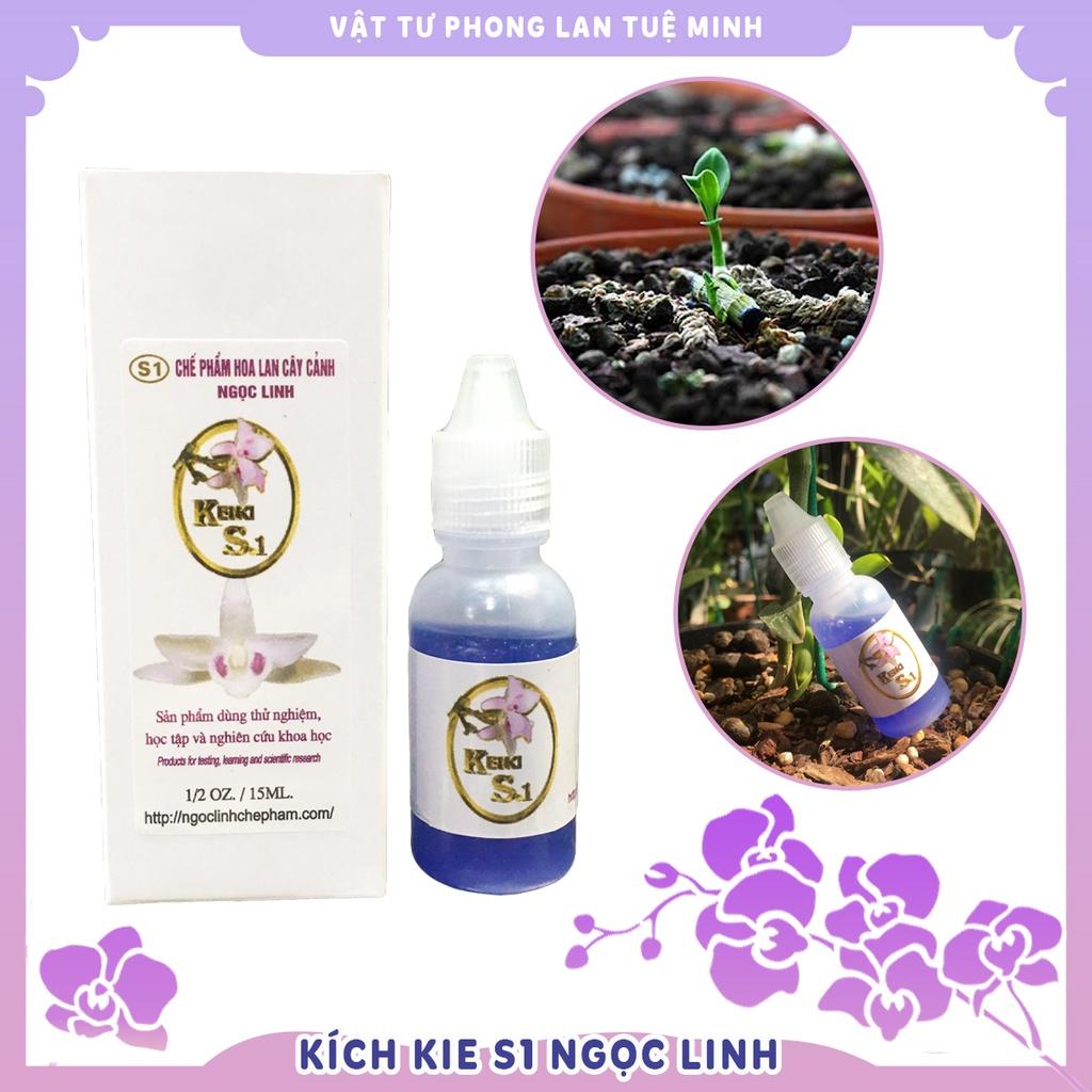 KEIKI S1 NGỌC LINH