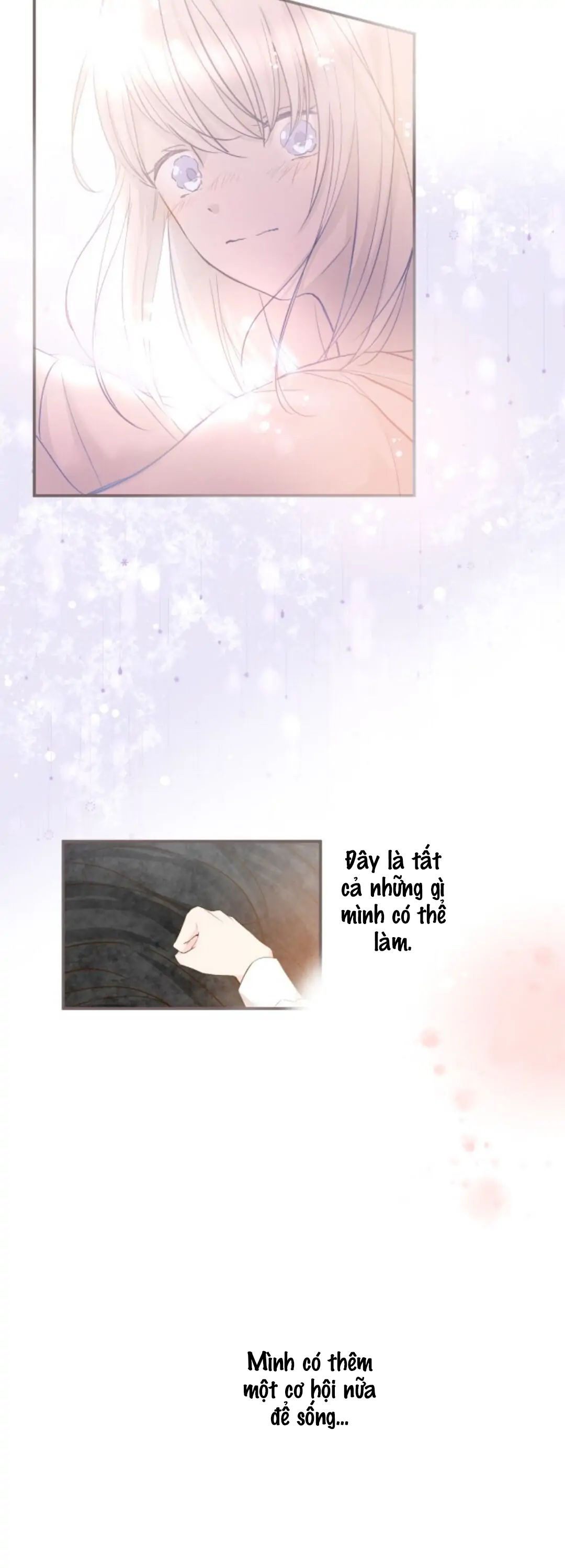 tôi được bảo vệ bởi kỵ sĩ rồng chapter 2.2 14