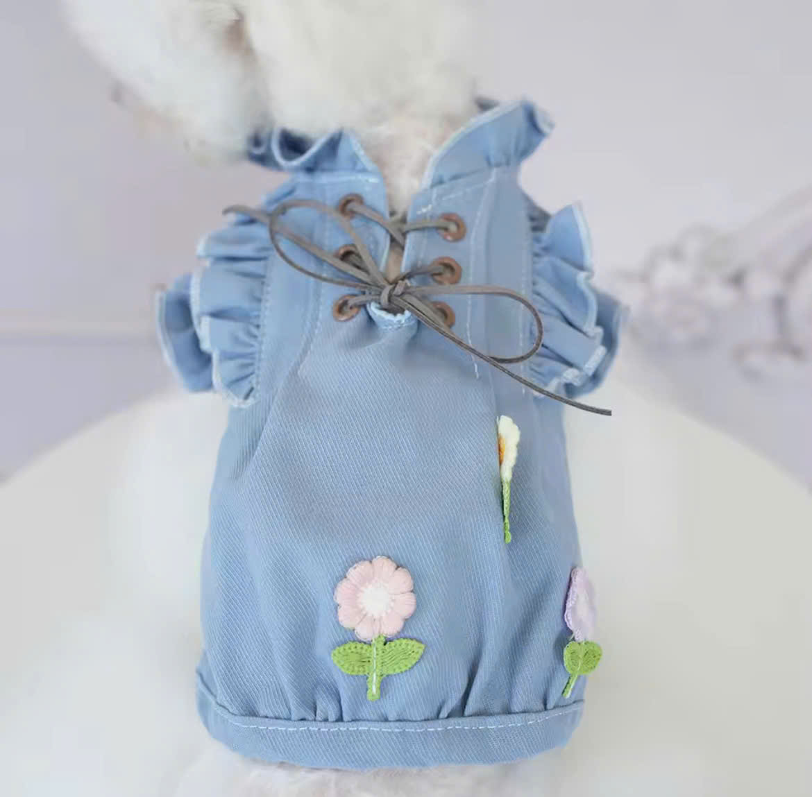 ĐẦM JEAN SANG TRỌNG TỪ 0.2-6.5KG DÀNH CHO THÚ CƯNG CHÓ MÈO